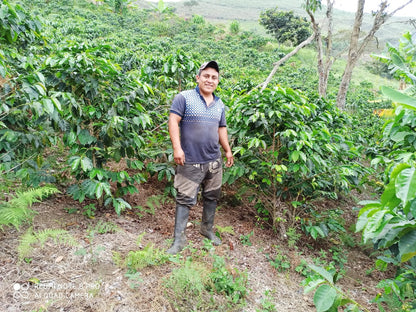 Espinoza Cauca - Colombia - Filter Coffee