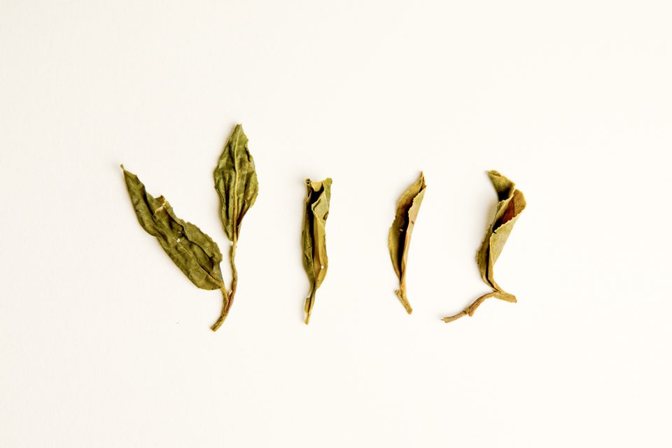 Mountain Green 2019  Single Batch Tea