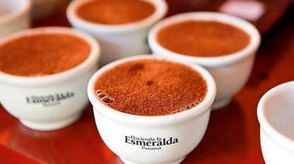 Esmeralda Lino 7AS Geisha - Panama - Filter Coffee