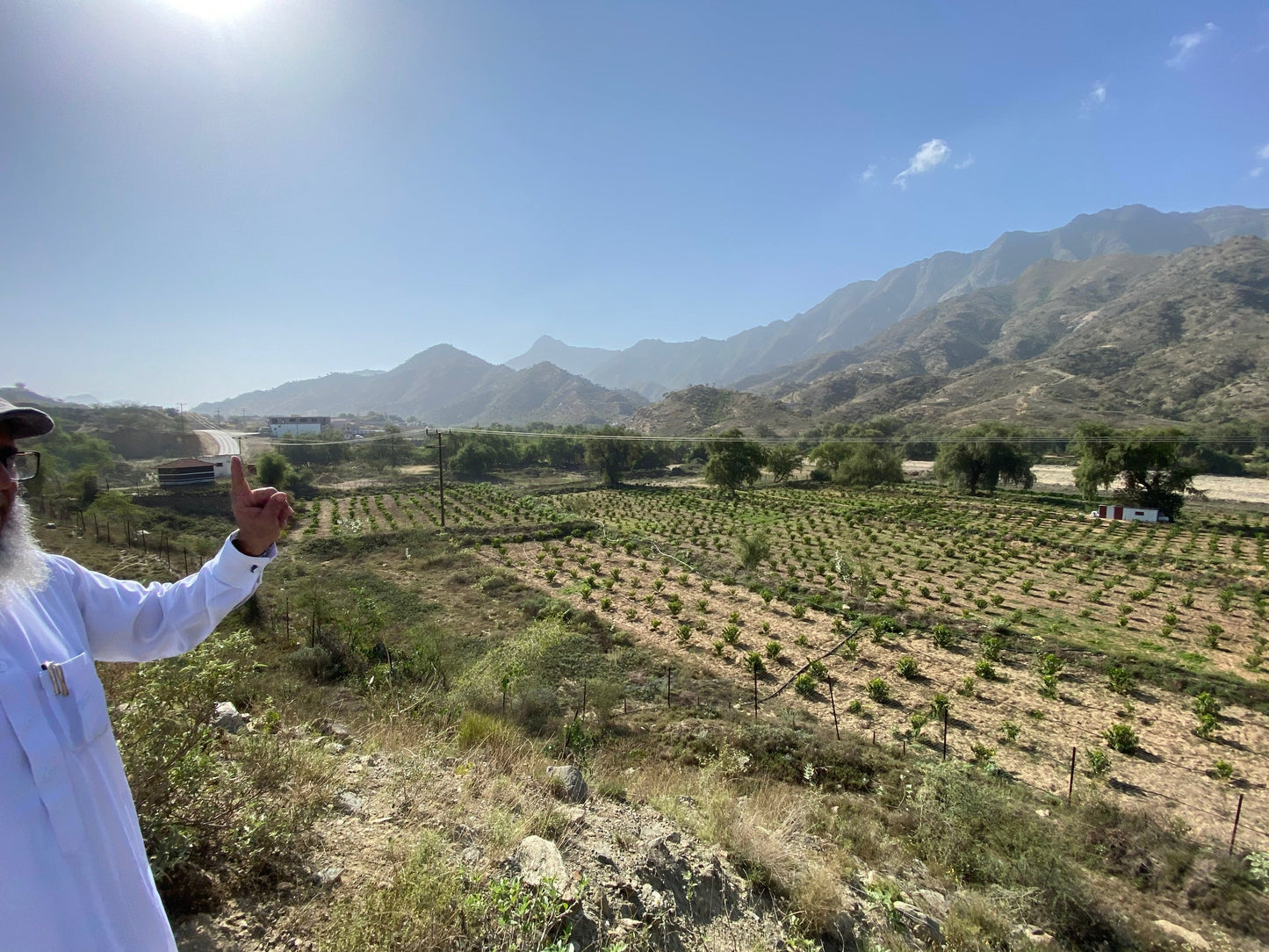 Maryam Farm - Dayer - Bani Malik - Saudi Coffee