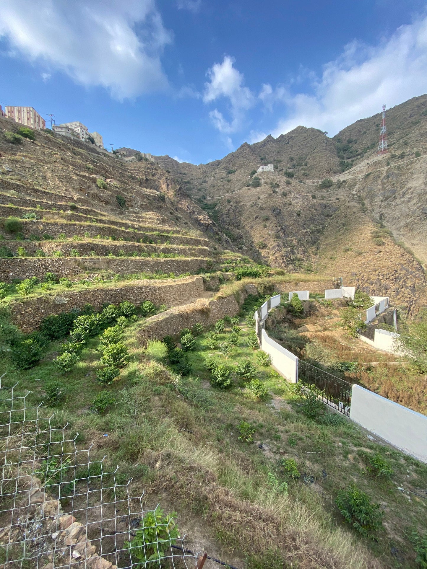 Maryam Farm - Dayer - Bani Malik - Saudi Coffee